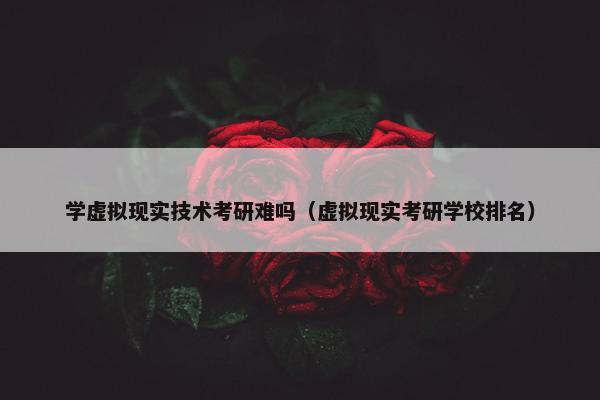 学虚拟现实技术考研难吗（虚拟现实考研学校排名）