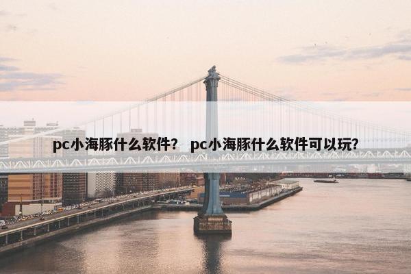pc小海豚什么软件？ pc小海豚什么软件可以玩？