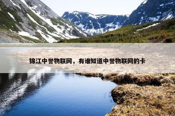 锦江中誉物联网，有谁知道中誉物联网的卡