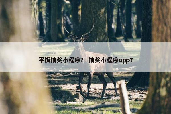 平板抽奖小程序？ 抽奖小程序app？