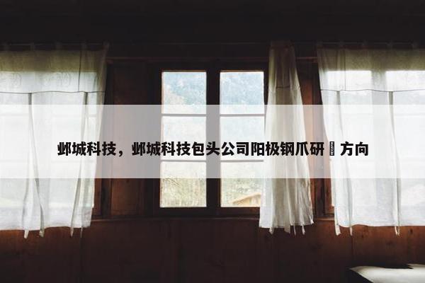 邺城科技，邺城科技包头公司阳极钢爪研犮方向