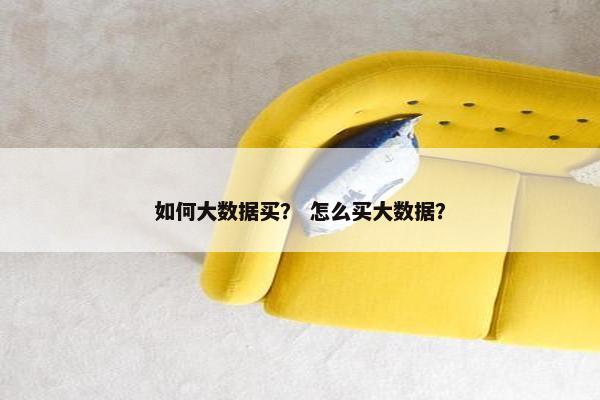 如何大数据买？ 怎么买大数据？