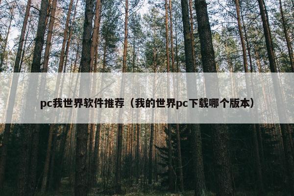 pc我世界软件推荐（我的世界pc下载哪个版本）