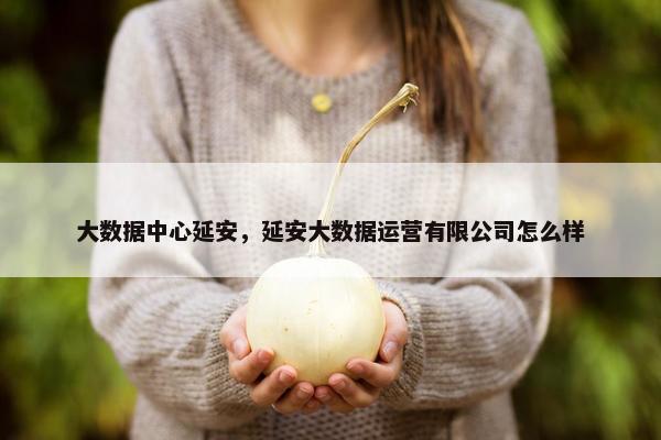 大数据中心延安，延安大数据运营有限公司怎么样