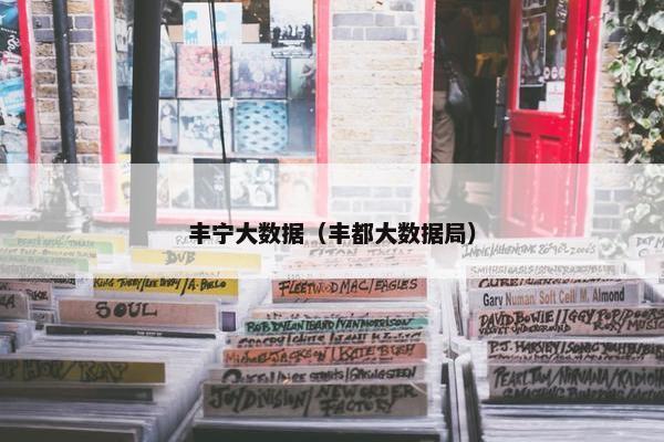 丰宁大数据（丰都大数据局）