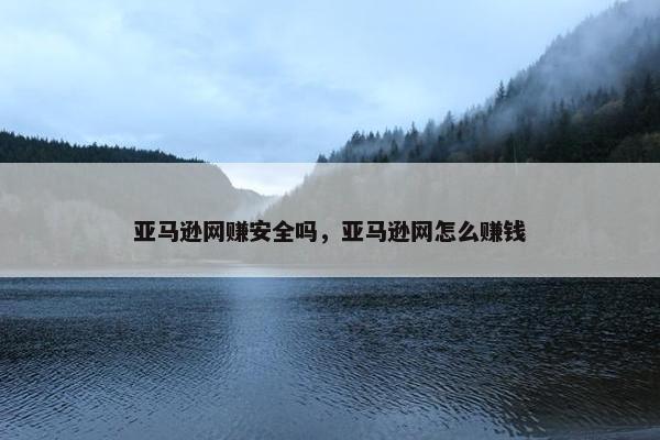 亚马逊网赚安全吗，亚马逊网怎么赚钱