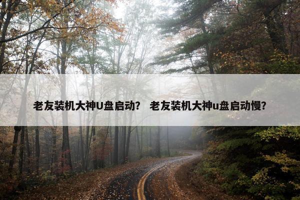 老友装机大神U盘启动？ 老友装机大神u盘启动慢？