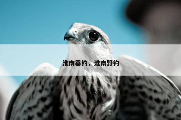 淮南垂钓，淮南野钓