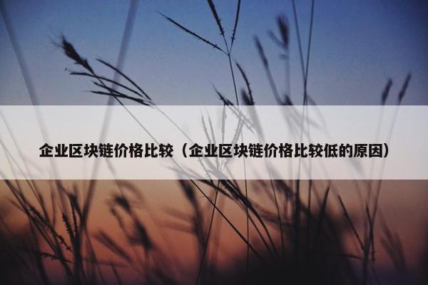 企业区块链价格比较（企业区块链价格比较低的原因）