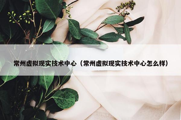 常州虚拟现实技术中心（常州虚拟现实技术中心怎么样）