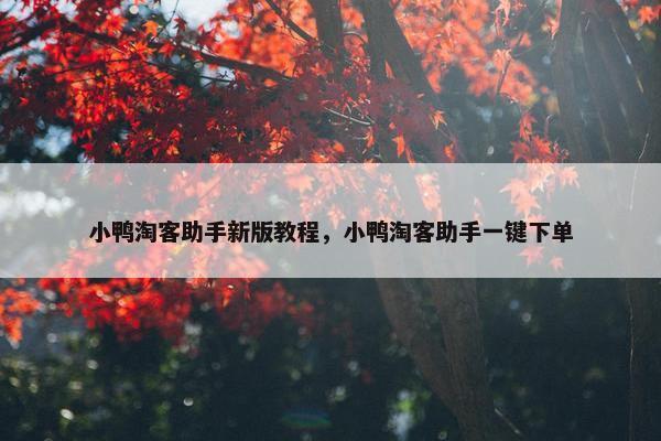小鸭淘客助手新版教程，小鸭淘客助手一键下单