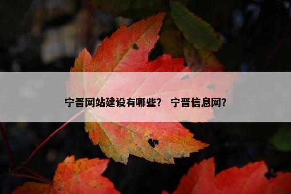宁晋网站建设有哪些？ 宁晋信息网？