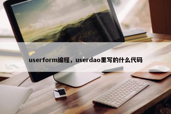 userform编程，userdao里写的什么代码