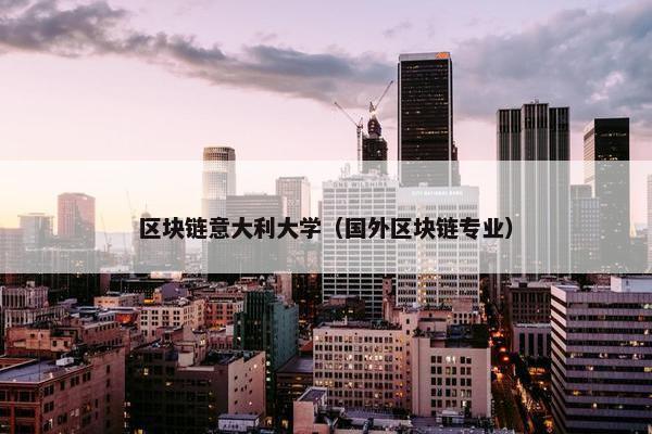 区块链意大利大学（国外区块链专业）