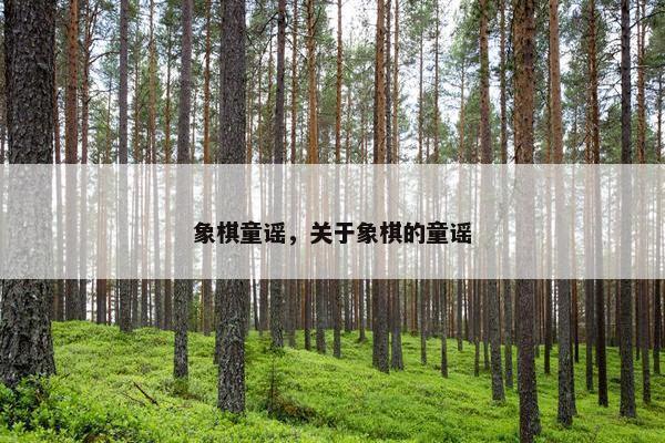 象棋童谣，关于象棋的童谣