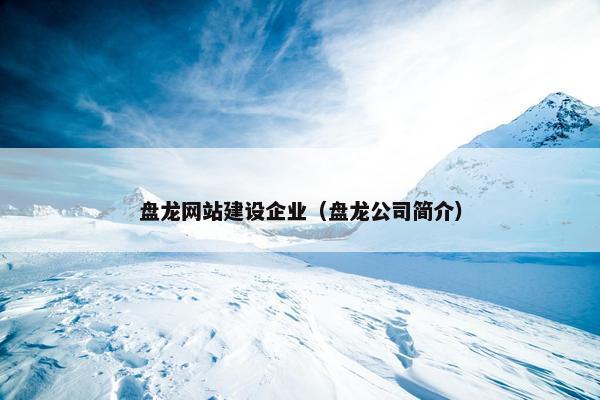 盘龙网站建设企业（盘龙公司简介）