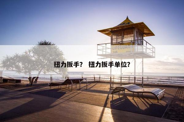 扭力扳手？ 扭力扳手单位？
