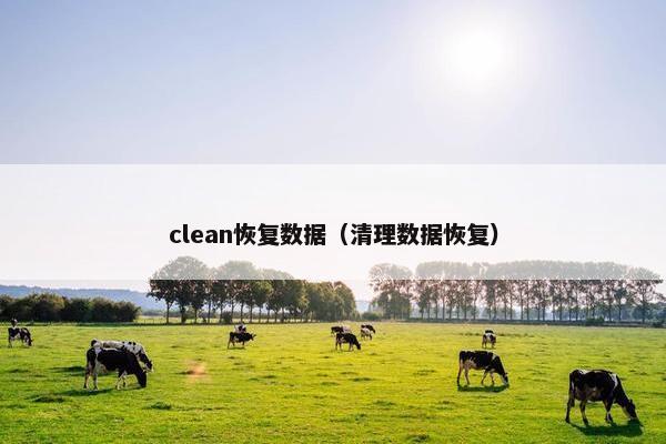 clean恢复数据（清理数据恢复）