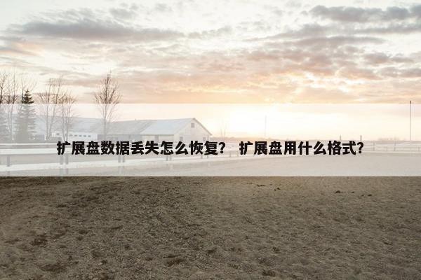扩展盘数据丢失怎么恢复？ 扩展盘用什么格式？