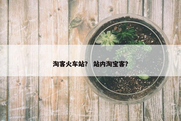 淘客火车站？ 站内淘宝客？
