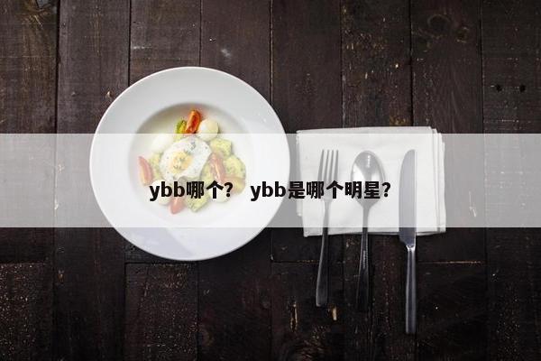 ybb哪个？ ybb是哪个明星？