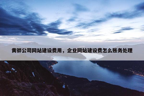 黄骅公司网站建设费用，企业网站建设费怎么账务处理