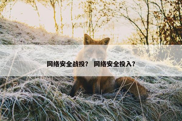 网络安全战投？ 网络安全投入？