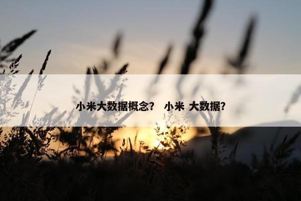 小米大数据概念？ 小米 大数据？