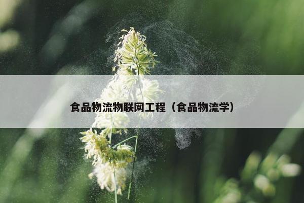 食品物流物联网工程（食品物流学）
