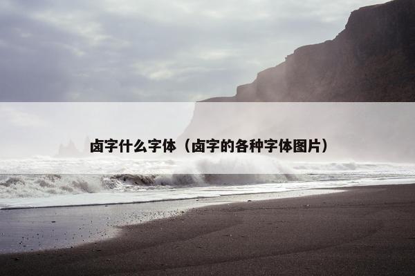 卤字什么字体（卤字的各种字体图片）