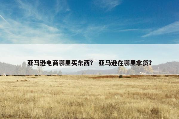亚马逊电商哪里买东西？ 亚马逊在哪里拿货？