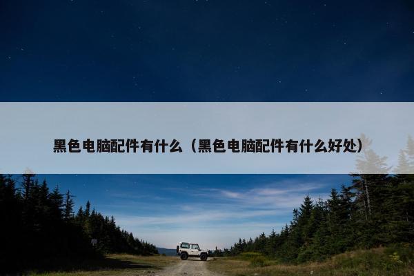 黑色电脑配件有什么（黑色电脑配件有什么好处）