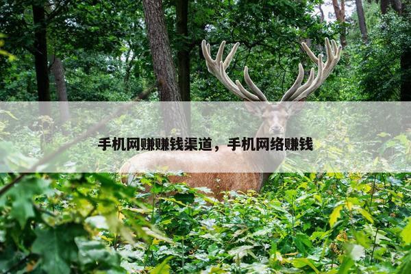 手机网赚赚钱渠道，手机网络赚钱