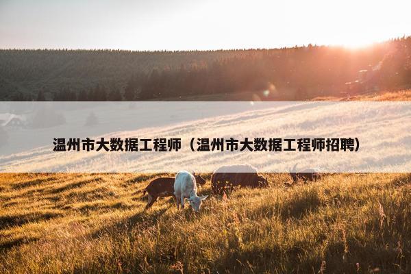 温州市大数据工程师（温州市大数据工程师招聘）