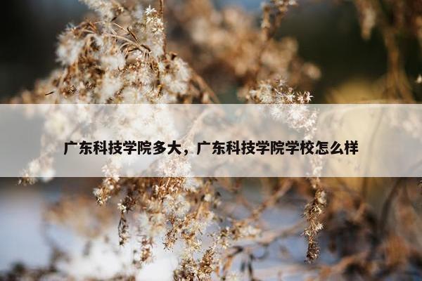 广东科技学院多大，广东科技学院学校怎么样