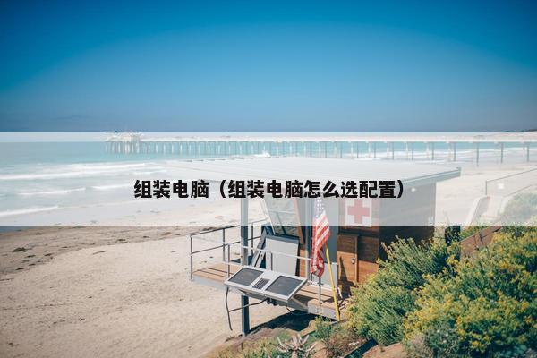 组装电脑（组装电脑怎么选配置）
