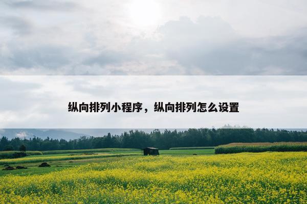 纵向排列小程序，纵向排列怎么设置
