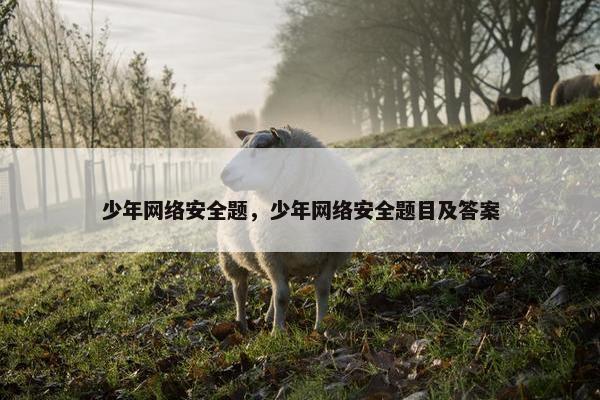 少年网络安全题，少年网络安全题目及答案