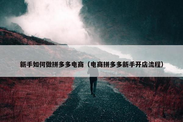 新手如何做拼多多电商（电商拼多多新手开店流程）