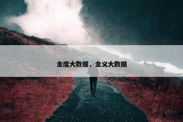 金度大数据，金义大数据