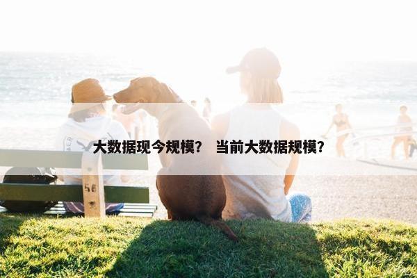 大数据现今规模？ 当前大数据规模？