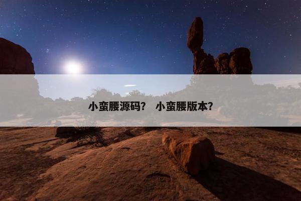 小蛮腰源码？ 小蛮腰版本？