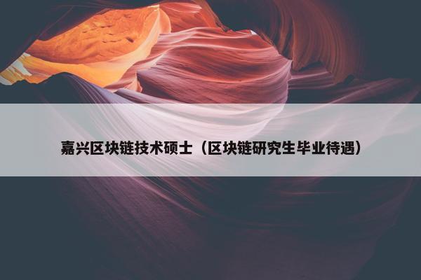 嘉兴区块链技术硕士（区块链研究生毕业待遇）