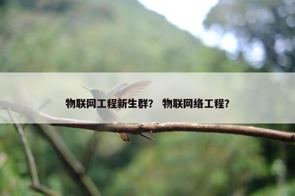 物联网工程新生群？ 物联网络工程？