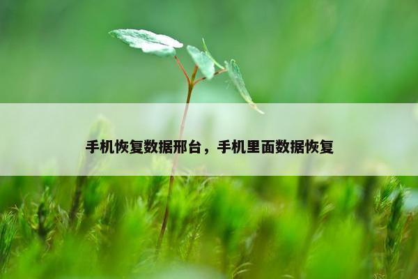 手机恢复数据邢台，手机里面数据恢复