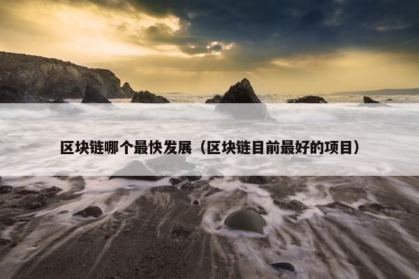 区块链哪个最快发展（区块链目前最好的项目）