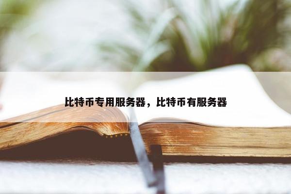 比特币专用服务器，比特币有服务器