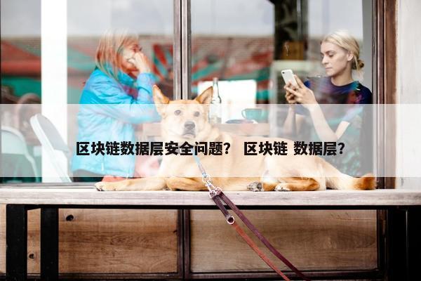 区块链数据层安全问题？ 区块链 数据层？