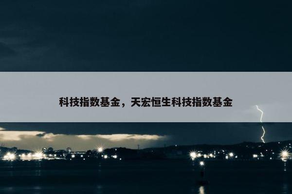 科技指数基金，天宏恒生科技指数基金