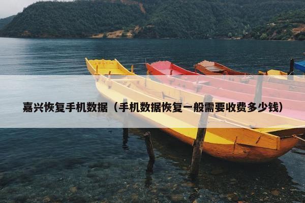 嘉兴恢复手机数据（手机数据恢复一般需要收费多少钱）